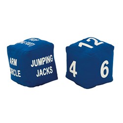 HART Fitness Dice (set of 2)