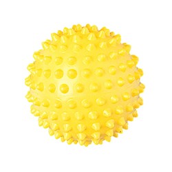 Echidna Spike Ball