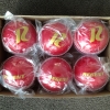 6 x Regent Incrediballs (Soft Cricket Balls)
