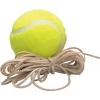 Tennis Ball on Elastic
