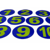 Flat Field Marker Numbered (set of 10)