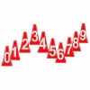 Numbered Marker Cones (set of 10)