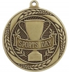 55mm Linz Medal (Sports Day) incl Lanyard & Engraving